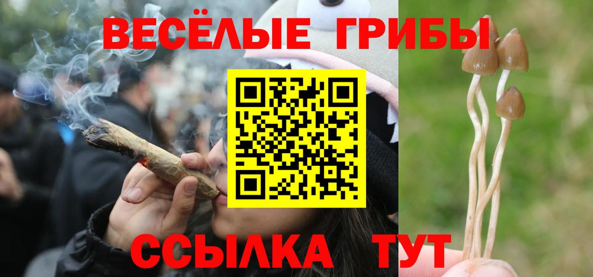 Псилоцибиновые грибы Magic Shrooms  Вход с VPN  Карпинск 